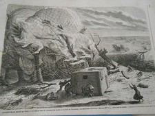 Engraving 1863 - Catastrophe du Ballon Le Géant