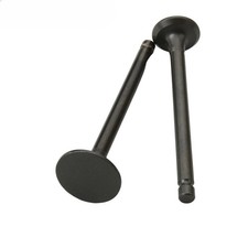 2PC Intake Exhaust Valves For