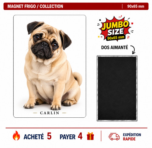 Magnet carlin 90x65 frigo - magnet, mm