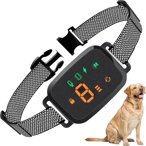 Collier anti aboiement chien - aboiement,