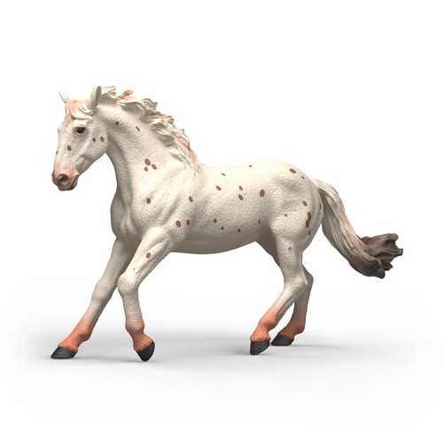 Knabstrupper mare horse - knabstrupper, by
