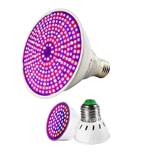 Ampoule culture lampe de - de,