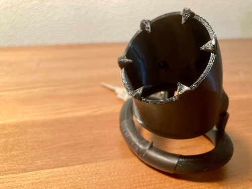 Spiked cockring for - , and