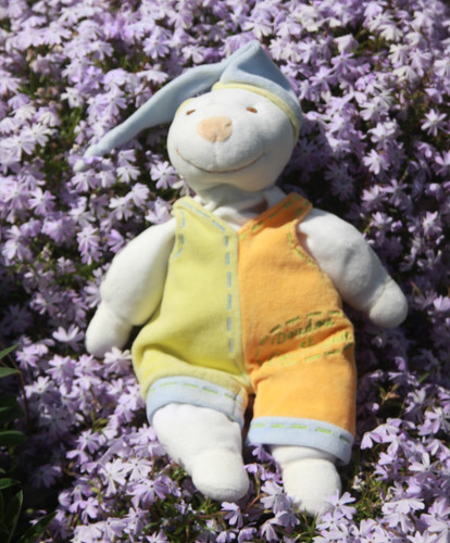 Doudou compagnie ours - doudou, et