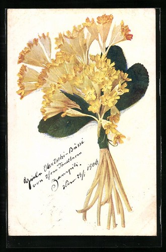 Carte postale artiste - carte, d'artiste