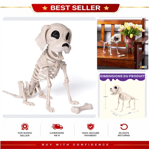 Squelette chien articulé - chien,