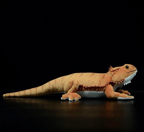 Bearded dragon pogona - 18",