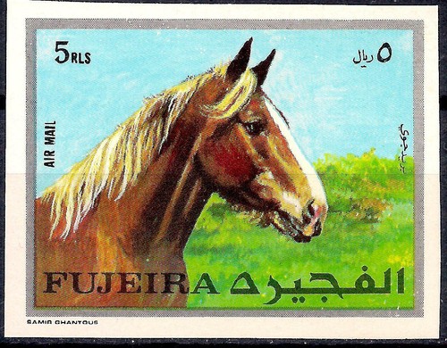 Fujeira 1970 cheval animaux - cheval,