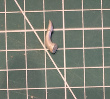 Warhammer  Old world :  Bits /