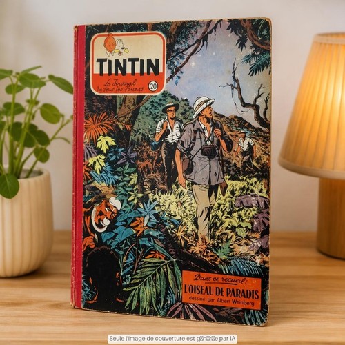 Journal tintin recueil - journal,