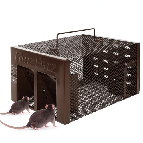 Piège souris rats - souris, rongeurs
