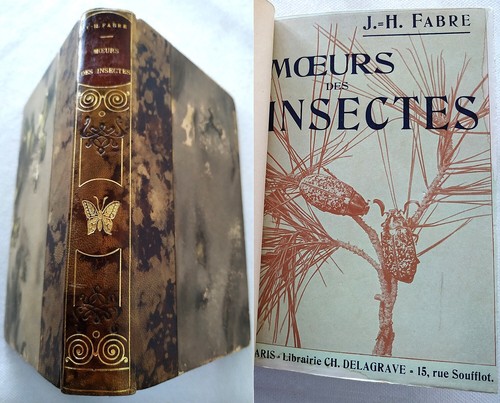 Moeurs des insectes morceaux - moeurs,