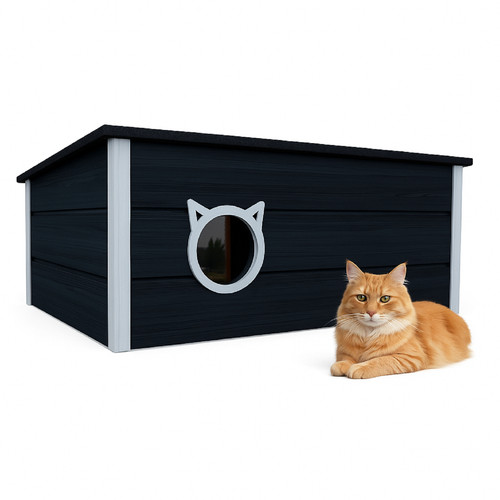 Qls maison isolée - qls, chat