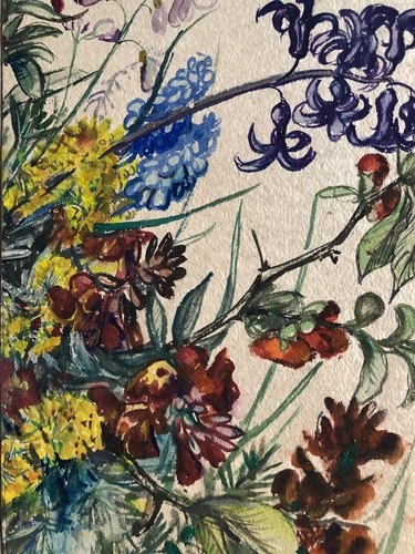 Fleurs - h,