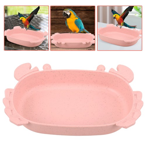 Bain oiseaux pour perruches - d'oiseaux,