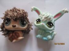 Petshop  Duo :  Hérisson