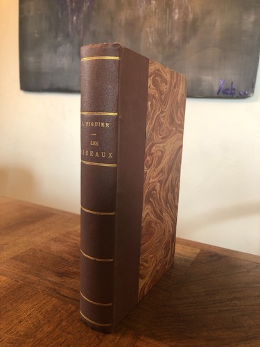Les oiseaux par - louis, figuier