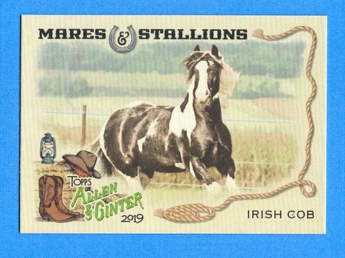 2019 topps allen - 2019, ginter