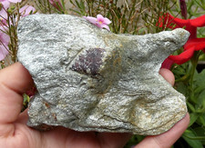 Almandine garnets in Micaschiste 9.5x6cm Tyrol minerals stone lithotherapy