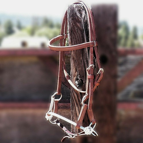 Hackamore sans mors cuir - en, de