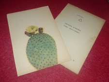 BOTANICAL ROCK PLANTS & CACTUS PRINT – LITHOGRAPH – OPUNTIA - A. DAVIDS  1948