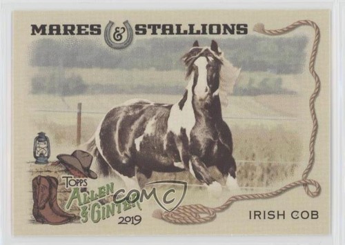 2019 topps allen - 2019,