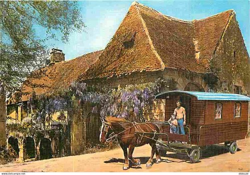 Carte postale animaux - -,