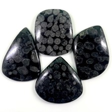 4 Pcs De Corail Fossile Noir Naturel 40-48Mm Gemmes Cabochon Non Traitées Lot