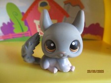 Petshop Chinchilla #144 / Avec Aimant