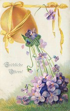 Violette félicitations carte