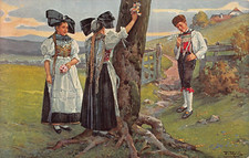 Allemand Noir Forest-National