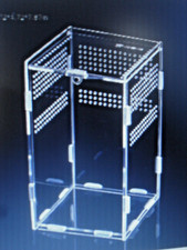 Terrarium spécial insecte