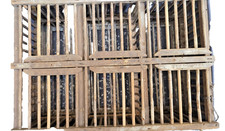 Grive Ou Alouettes Pour La