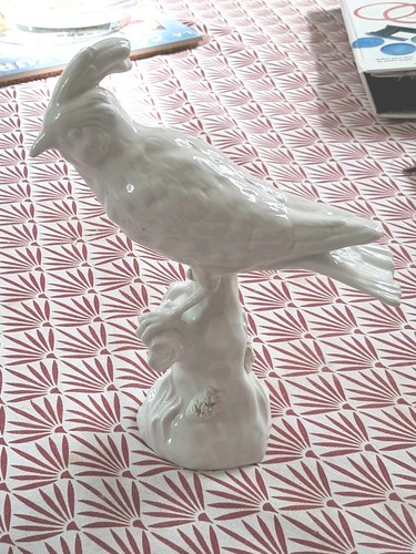 Magnifique oiseau sur tronc - magnifique,