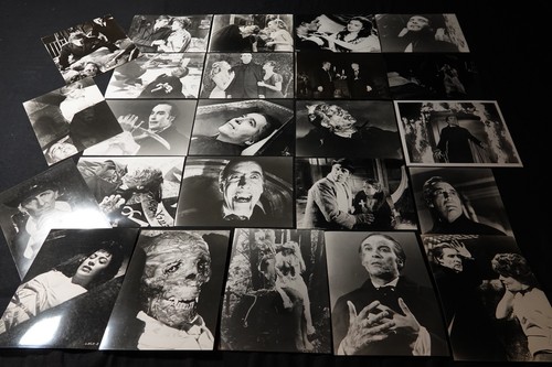 Dracula vampire lot - lot, photos