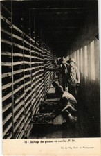 CPA AK Vanilla Pod Drying MADAGASCAR (1044482)