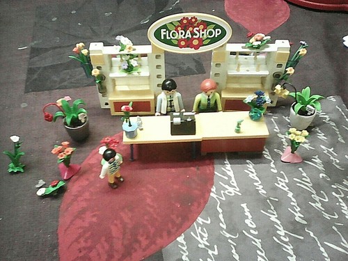 Jeu playmobil fleuriste - de,