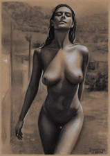 fine belle femme nue dans la