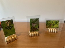 Lot De Trois Porte Photo Art