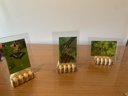 Lot trois porte photo art - de,