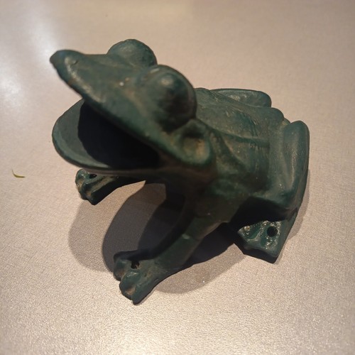 Authentique grenouille 19è - grenouille, du