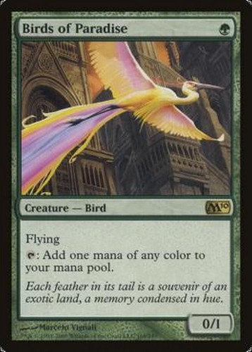 Rush english oiseaux - rush, de