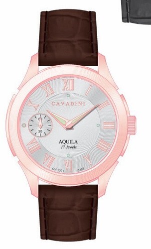 Cavadini unitas montre - cavadini,