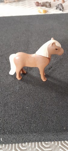 Animal poney centre - animal,
