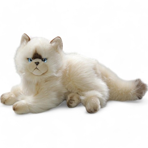 Carl dick chat persan - dick,