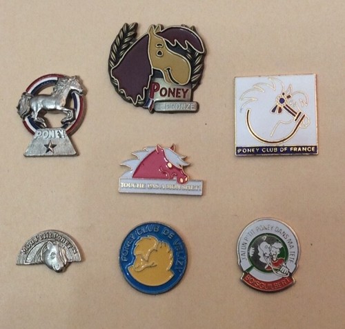 Lot pins lapel pin - lapel, poney