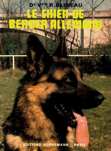 Chien berger allemand - le,