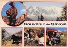 74 TOURNETTE MASSIF DU MONT