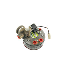 ZAVOLI 1303003685 Poumon