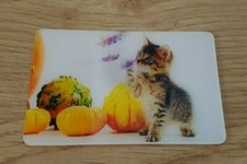 2014 CORA MATCH #13/44 Lenticular Card - The Kitten (A9674)